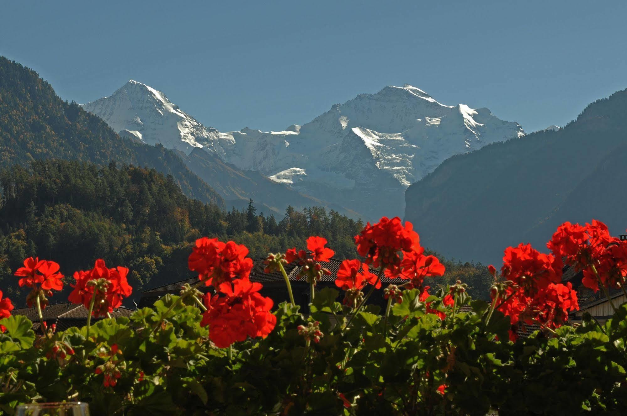 Post Hardermannli Hotel Interlaken Bagian luar foto